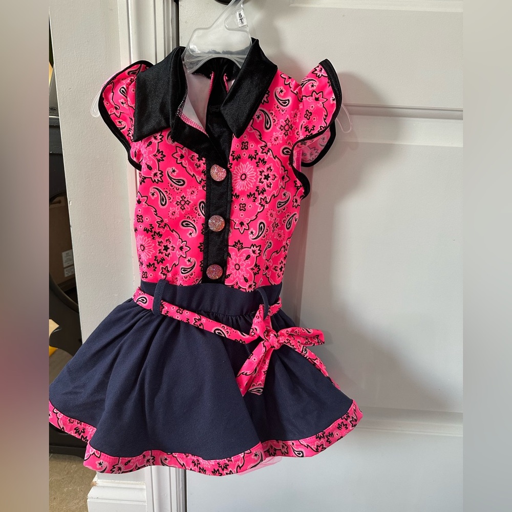 Weissman brand pink cowgirl costume